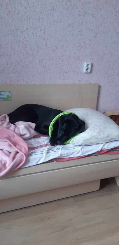 Академия спорта