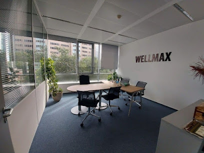 WELLMAX