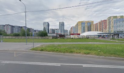 Петровские Львы