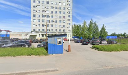 Невские медведи
