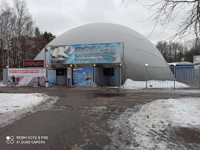 Русский Лёд