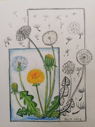 Художественная студия Art Class