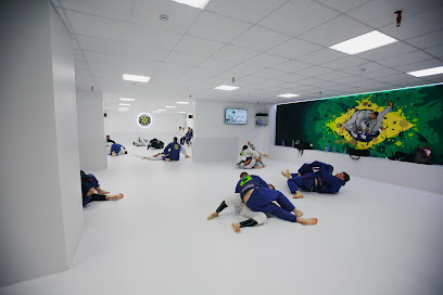 Kristian Cestaro Jiu-Jitsu Association