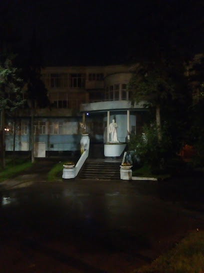 Федерация парашютного спорта России