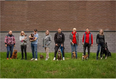 Школа дрессировки собак "Dogway"