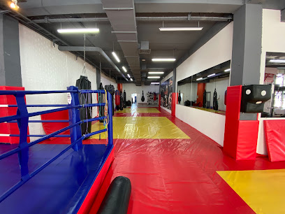 CHAMPION GYM (тайский бокс, ММА, кикбоксинг, каратэ) | Тренажерный зал