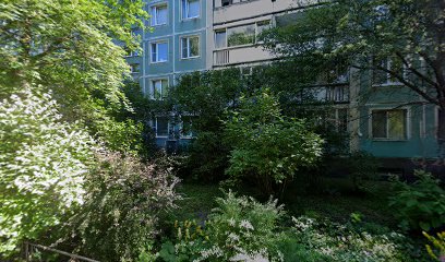 Колледж Информатизации И Управления