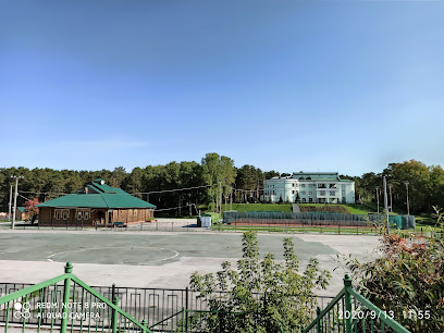 Локомотив
