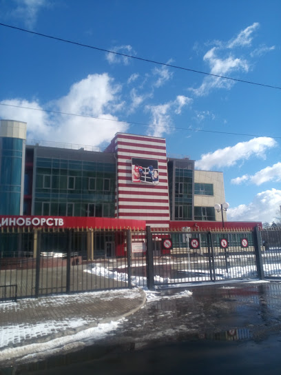 Центр детско-юношеского спорта