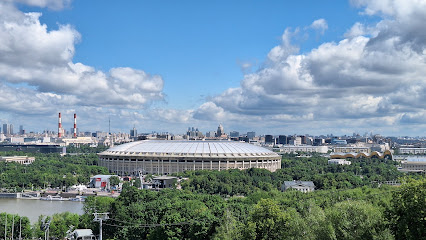 Школа бега Швецова