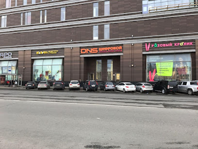 DNS