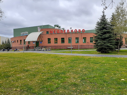 Северная звезда