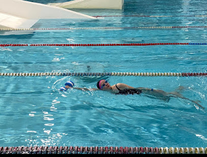 SwimRocket Школа плавания