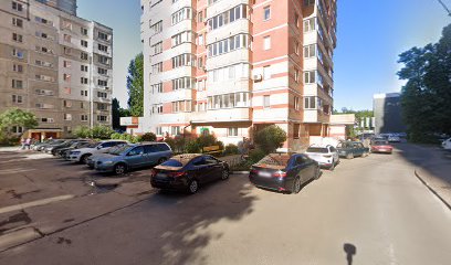 Школа груминга "Собака"