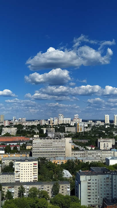 Пионерский