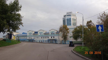 Инспекция Федеральной налоговой службы № 33 по г.Москве