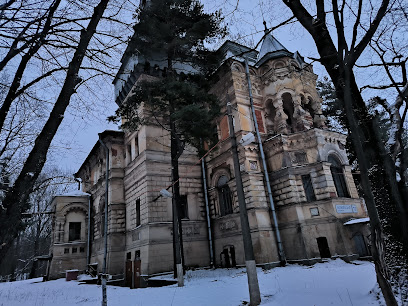 Дача Чернова (Сосновка)