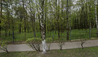 Kindergarten