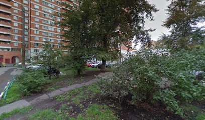 Школа Паталогоанатома