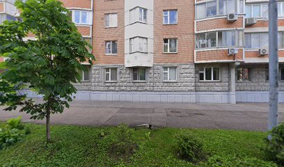 Ясновидящая Светлана Самех