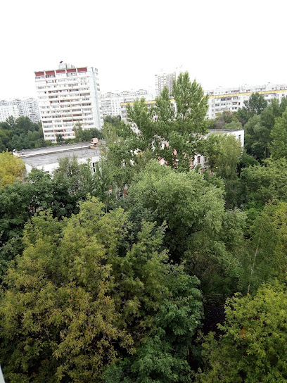 Школа № 950