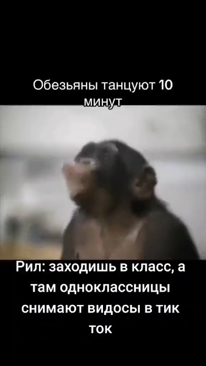 Школа №19