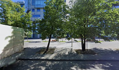 «Школа Го «Воин камня»