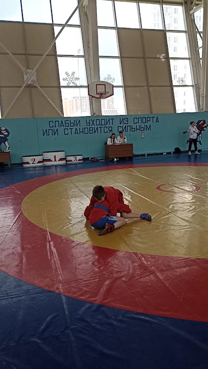 Спортшкола. Самбо