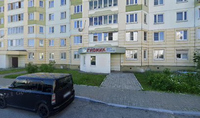 Гномик центр развития
