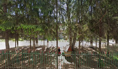 Детский сад № 260 "Медвежонок"
