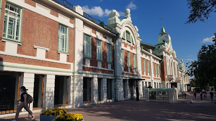 Танцуки