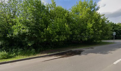 Школа Самбо