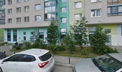 Шахматное искусство