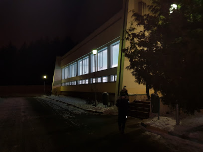 Бассейн Битца