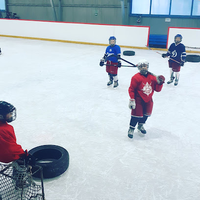 Hockey_star_team (школа хоккея)