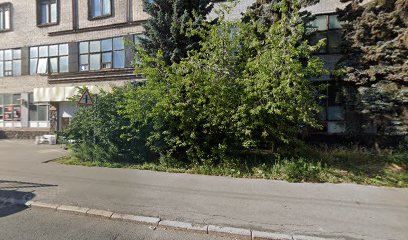 Спортивная Секция ,,АКСОН"