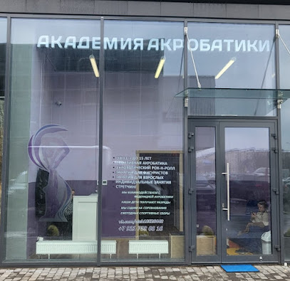 Академия Акробатики