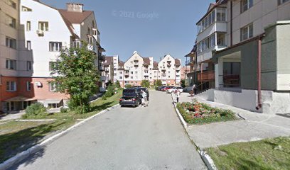 Панда Самбо
