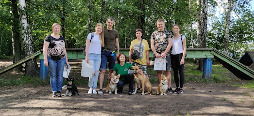 Клуб Догсити - дрессировка собак Dogcity