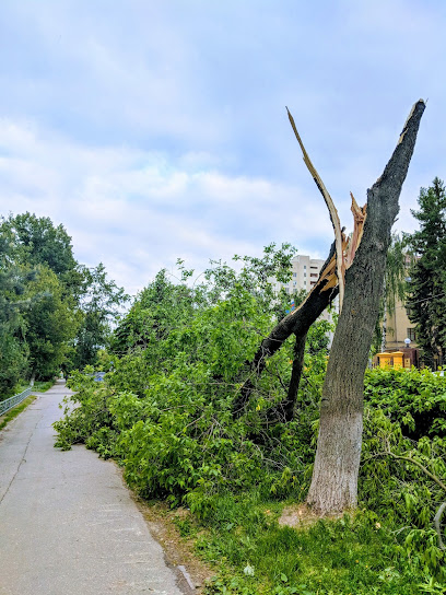 Прокуратура Нижегородской Области