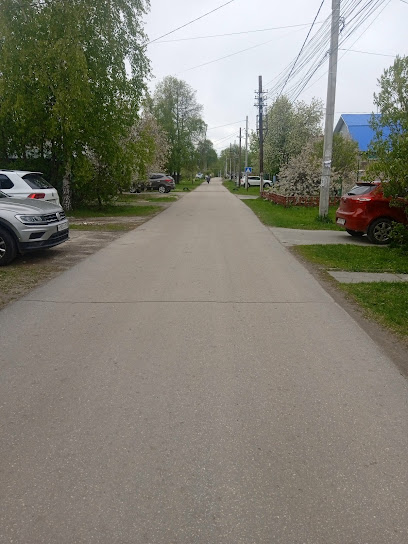 Гнилицы