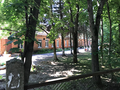 Детский сад № 55 "Василек"