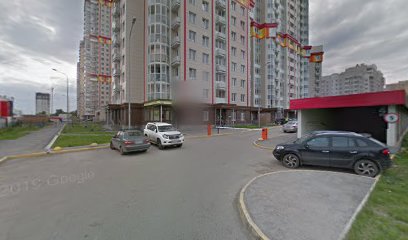 Солнечная Сова