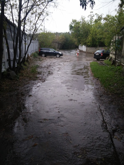 Природоведение и школа