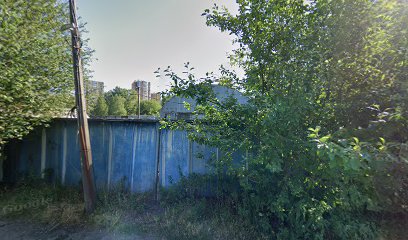 Футбольная школа "Смена"