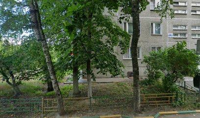 Буревестник
