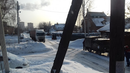 Дрессировка собак