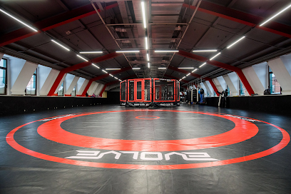 Академия единоборств и кроссфита Evolve Gym. Фитнес, бассейн и СПА