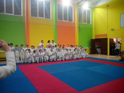 Смешанные единоборства +18, Каратэ, Рукопашный бой, Йога, ТАНЦЫ