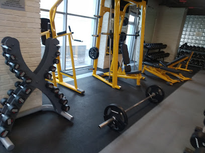 FITNESS MANIFEST